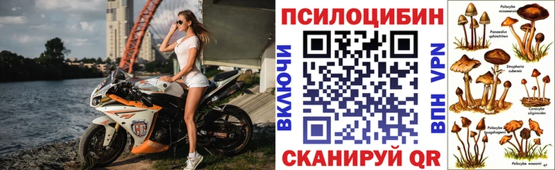 Галлюциногенные грибы Psilocybine cubensis  MEGA зеркало  Зарайск 